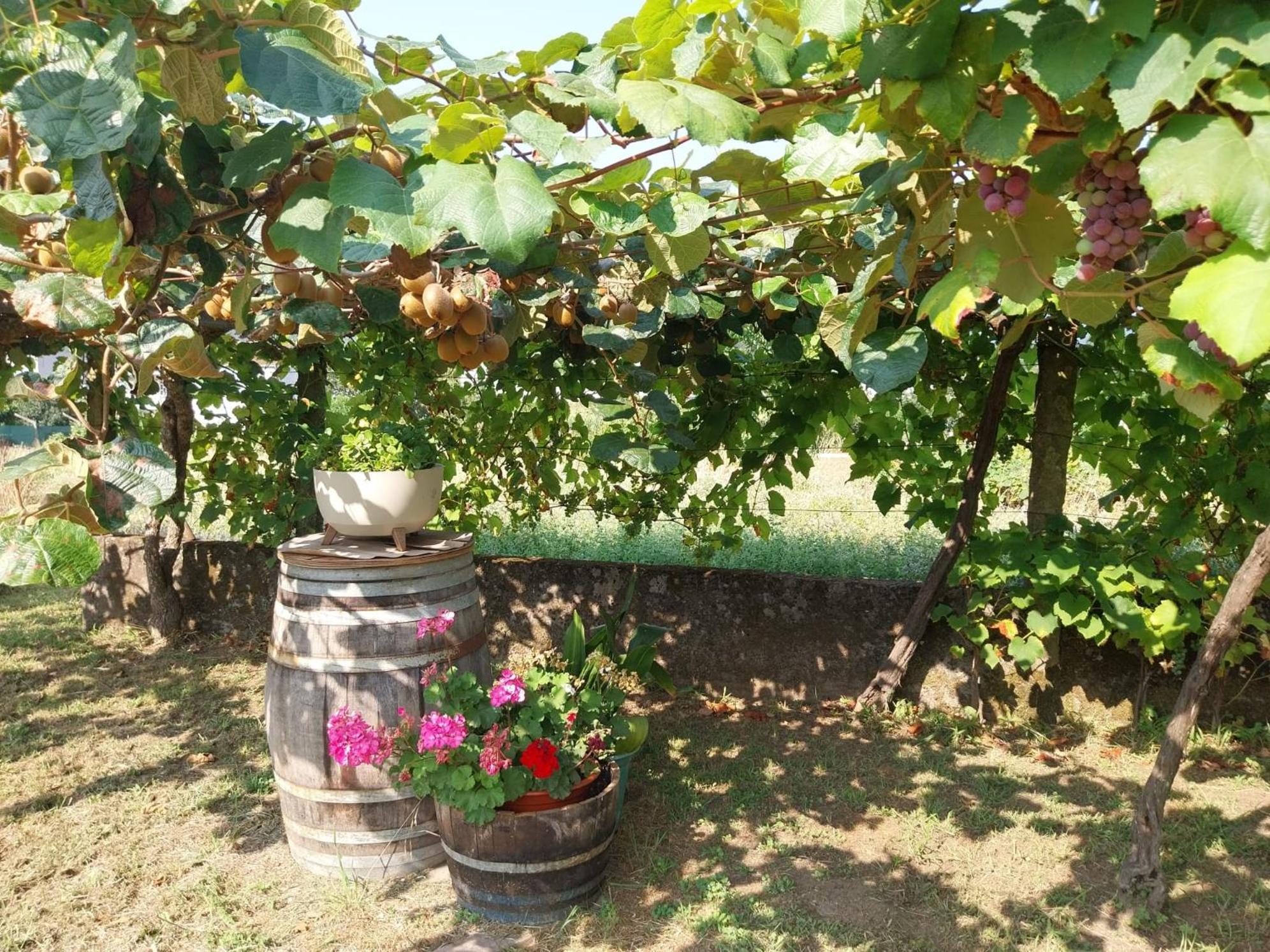 O Berce Padron Casa Rural מראה חיצוני תמונה